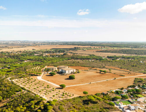 How a Salaried Employee Can Own Residential Plots in Chennai