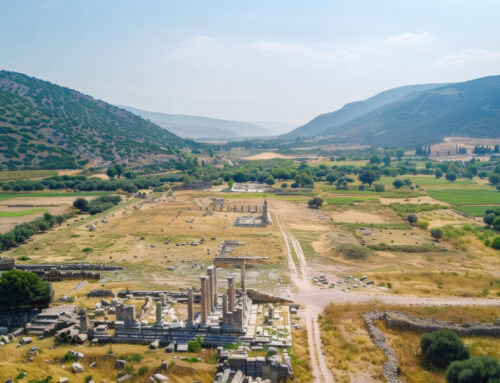 FD Plays It Safe. Industrial Park Plot Plays Smart
